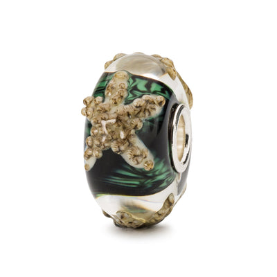 Steady Starfish Bead