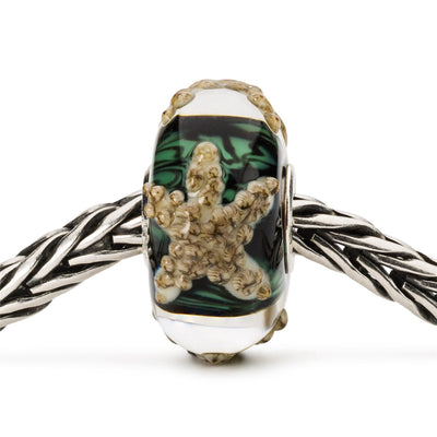 Steady Starfish Bead